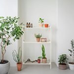 H61083 고무나무 독서실 책상 수납선반 세트 A형 - 이미지 2